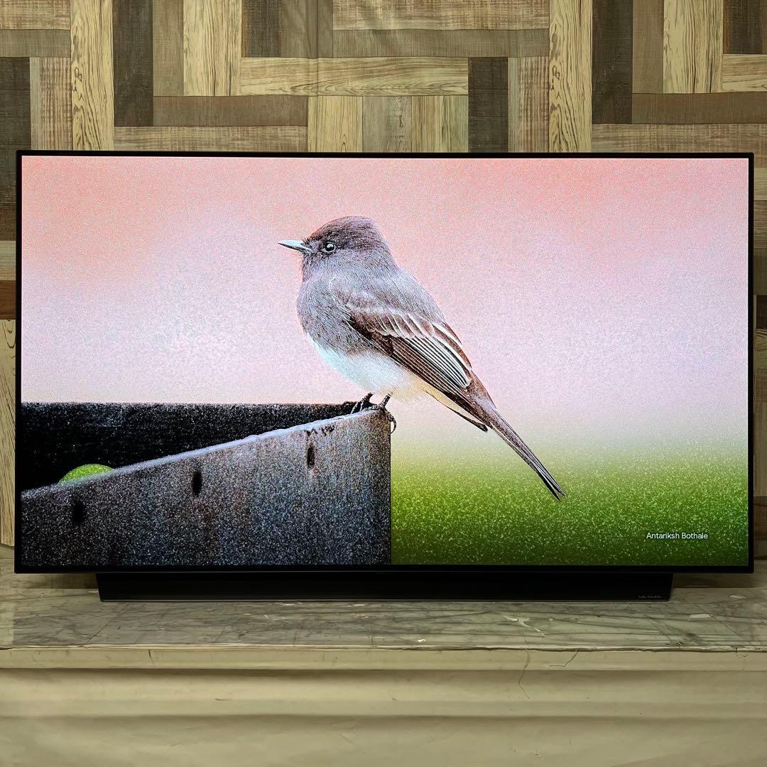 Ryu さん専用LG55型4K有機EL YouTube NETFLIX視聴