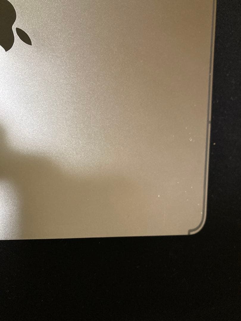 Apple iPad Pro 12.9 第3世代 Cellular 256GB