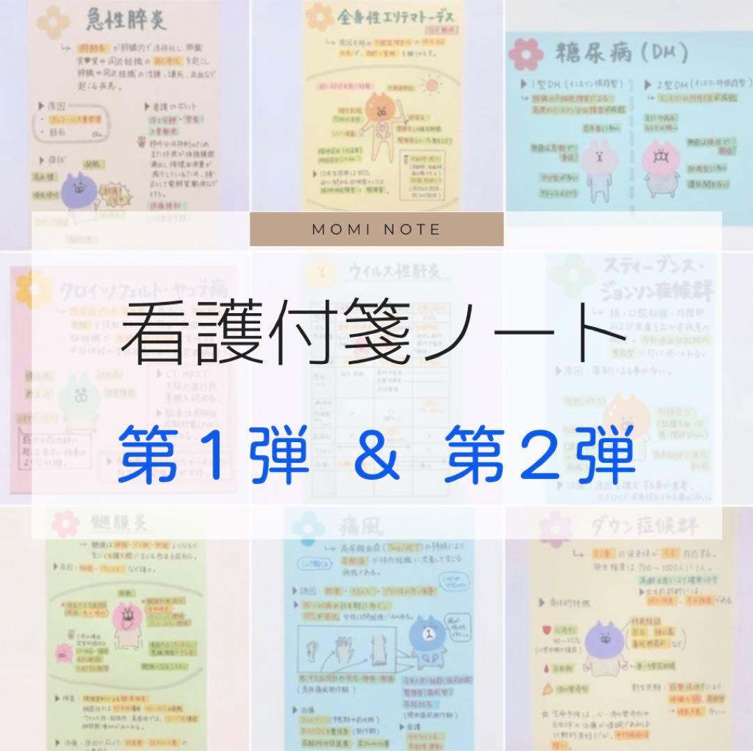 看護付箋ノート ＊ 第１・２弾 看護師国家試験