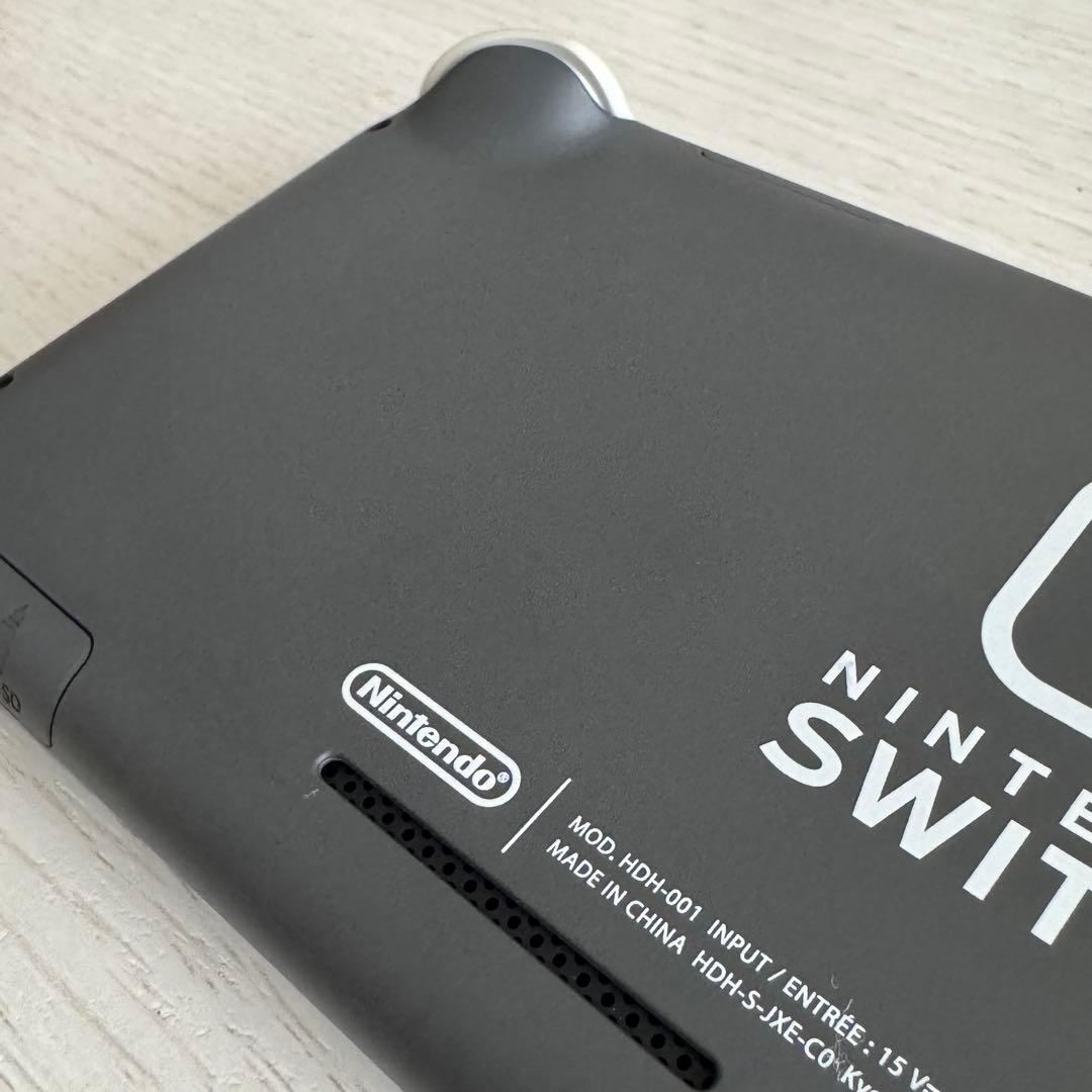 Nintendo Switch Lite グレー 箱 AC セーフティガイド付