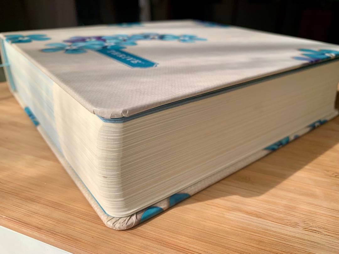 【希少品】英語の聖書　NLT Thrive Bible 書き込めるノート欄付き