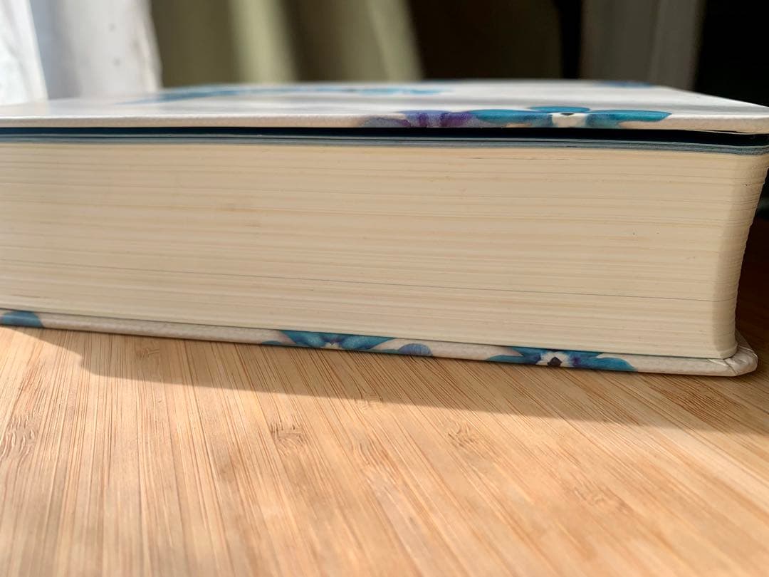 【希少品】英語の聖書　NLT Thrive Bible 書き込めるノート欄付き