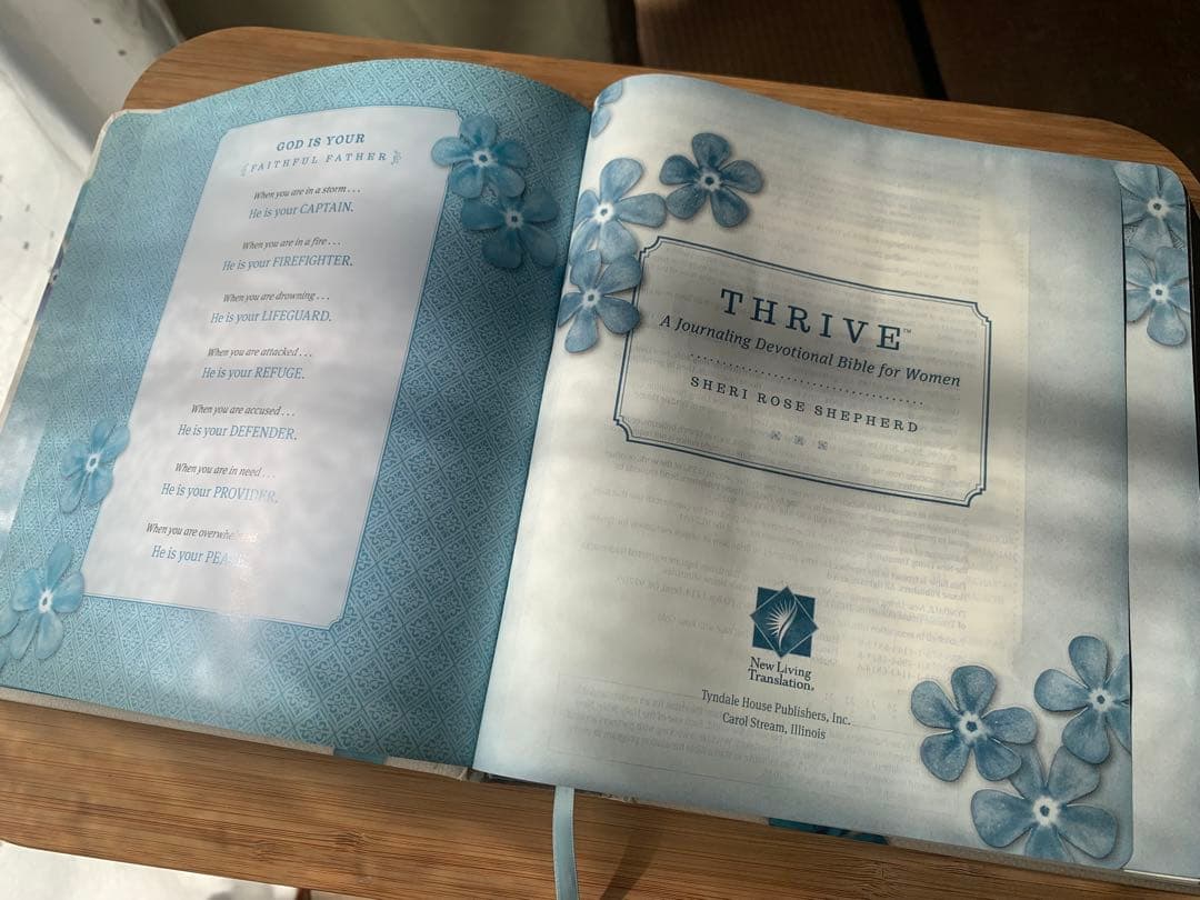【希少品】英語の聖書　NLT Thrive Bible 書き込めるノート欄付き