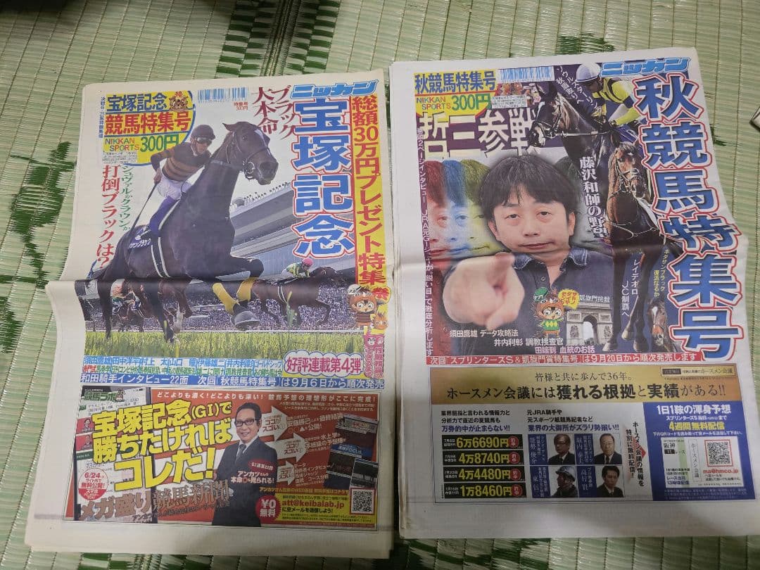 日刊スポーツ競馬新聞特集号2017