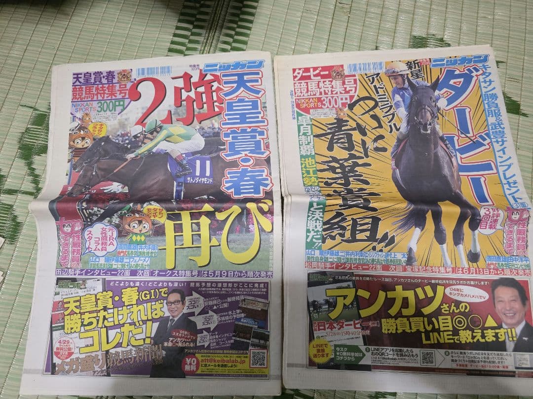 日刊スポーツ競馬新聞特集号2017