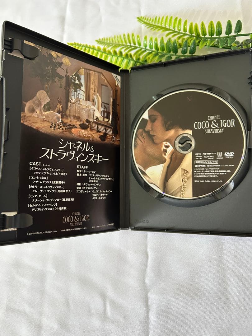 シャネル＆ストラヴィンスキー　Coco & Igor DVD