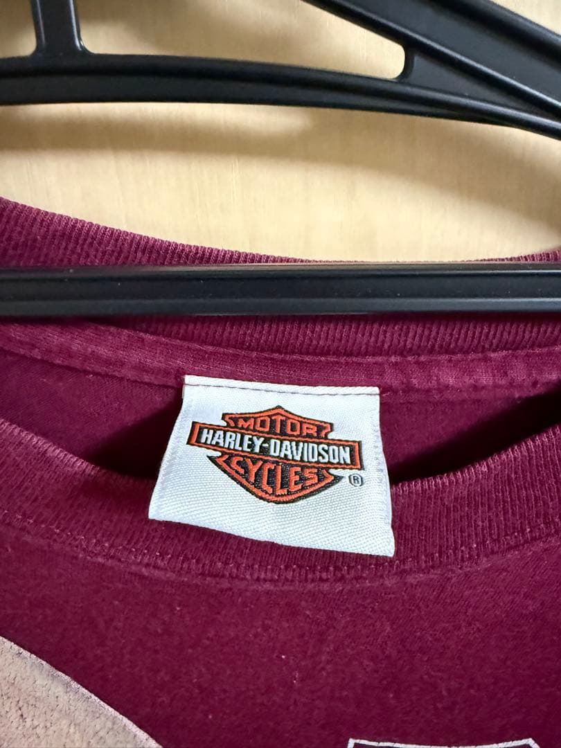 激レア！Harley-Davidson✖️ルーニーティーンズ　コラボTシャツ