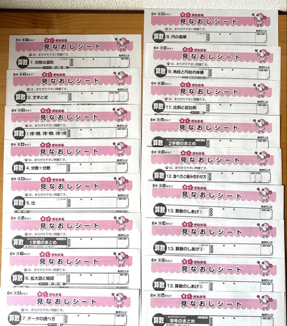 ⑤小学6年生　算数テストの見なおしシート　17枚