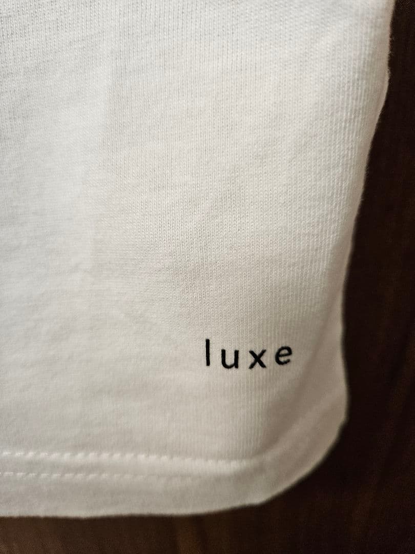 journal standard luxe プリント BIG-T ビッグTシャツ
