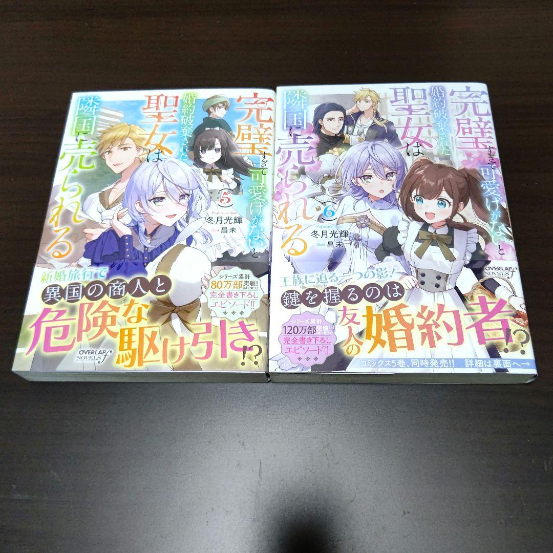 完璧すぎて可愛げがないと婚約破棄された聖女は隣国に売られる 1～8巻