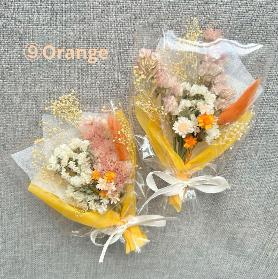 ★お急ぎ便★ そると様♡