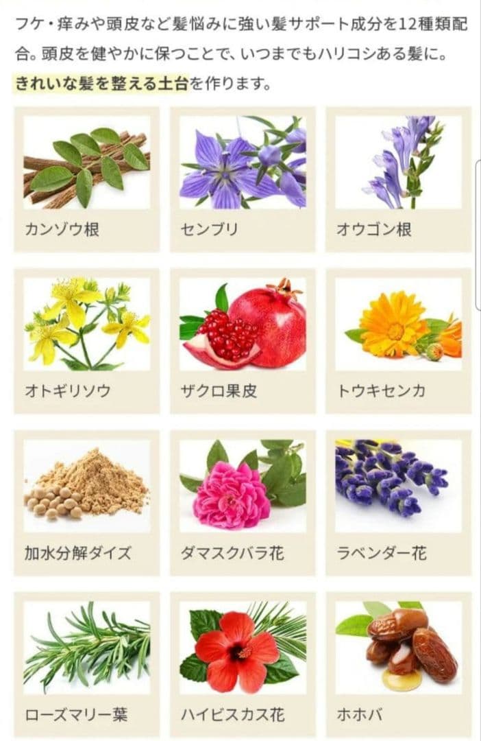 KURO Cream Shampoo ナチュラルブラック・ダークブラウン 3個