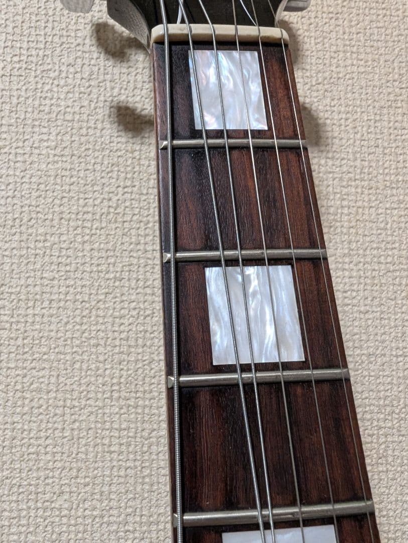 上位 イノランモデル EDWARDS by ESP E-I-85LP