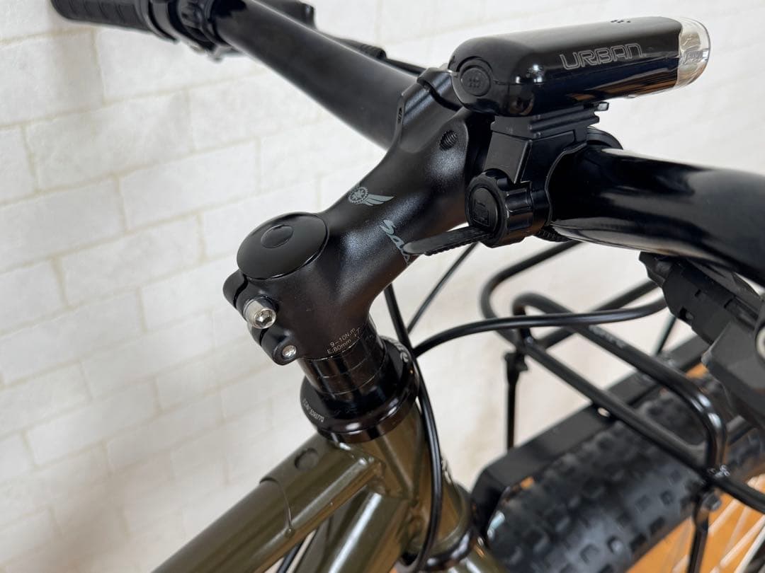 【TESTOSTERONE$$】Surly ECR 29 マウンテンバイク