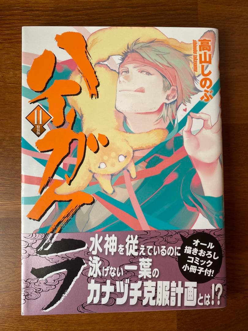ハイガクラ 1〜17巻セット