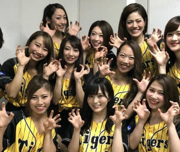 【新品未開封　ウル虎の夏ユニフォームおまけ付】阪神タイガース2025優勝DVD