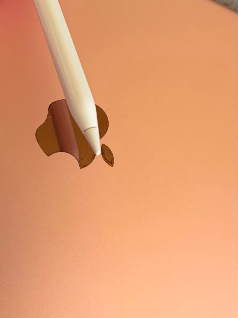 iPad本体 iPad Pro 10.5 512GB Wi-Fi Apple Pencil