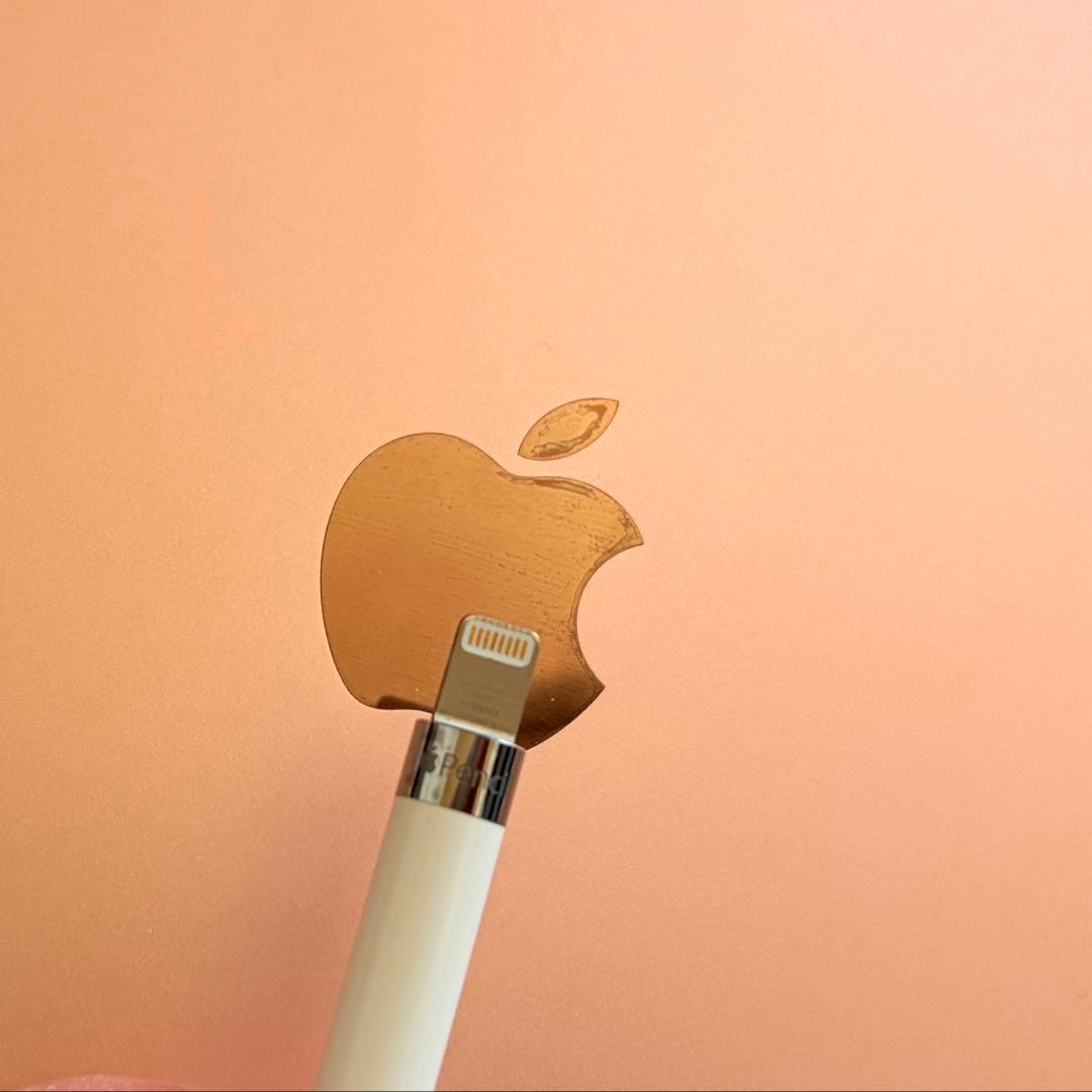 iPad本体 iPad Pro 10.5 512GB Wi-Fi Apple Pencil