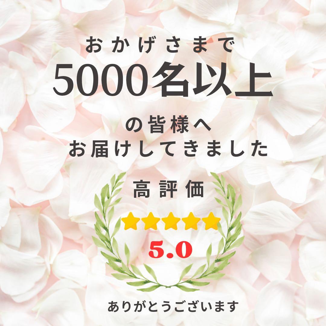 ロココ調ピンクローズのアーチ型特大リース〈光触媒・1点もの〉薔薇のリース