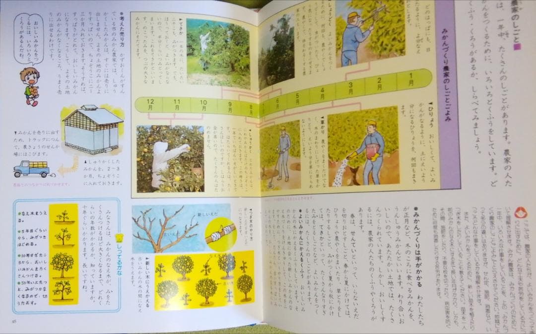 【美品】すじみち学習１９ジュニア版 社会３年「とちとくらし」
