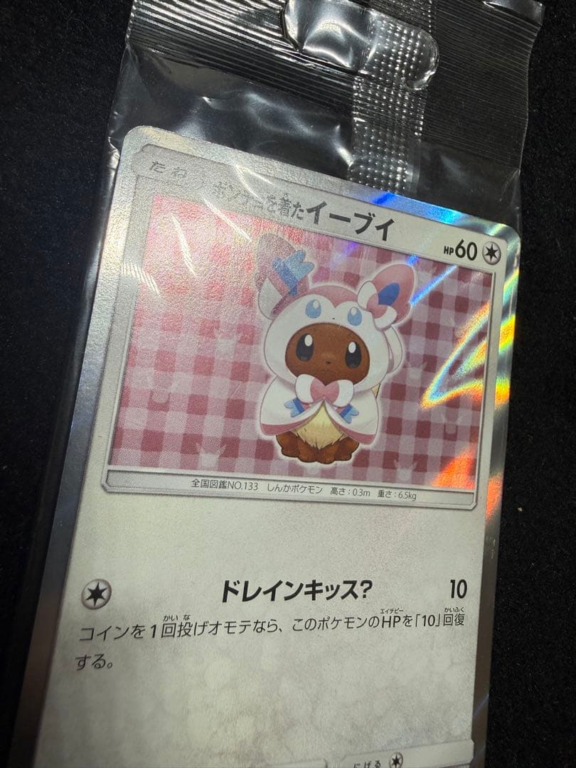 ポンチョを着たイーブイ ニンフィア