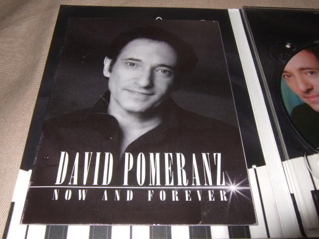 洋楽 DAVID POMERANZ,AOR,DAVID FOSTER,TOTO