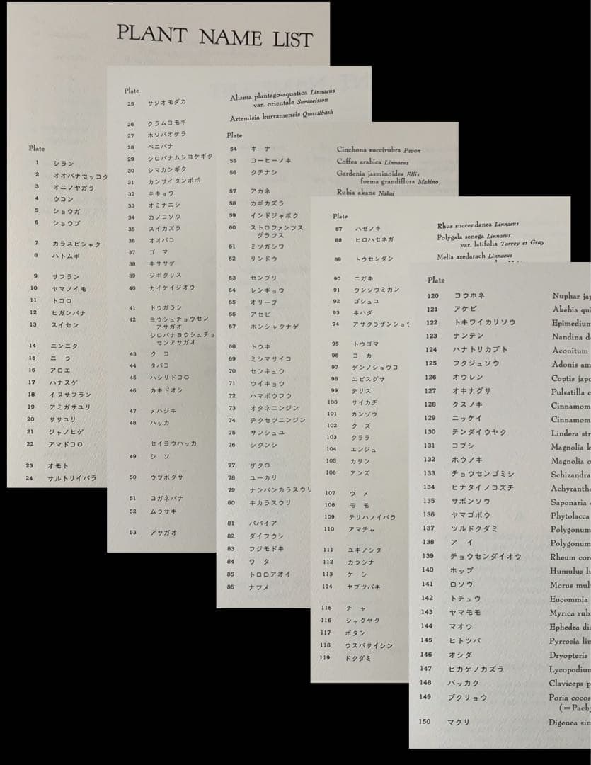 『薬用植物画譜』小磯良平文化勲章受賞記念　武田薬報表紙絵150点　刈米達夫　大型