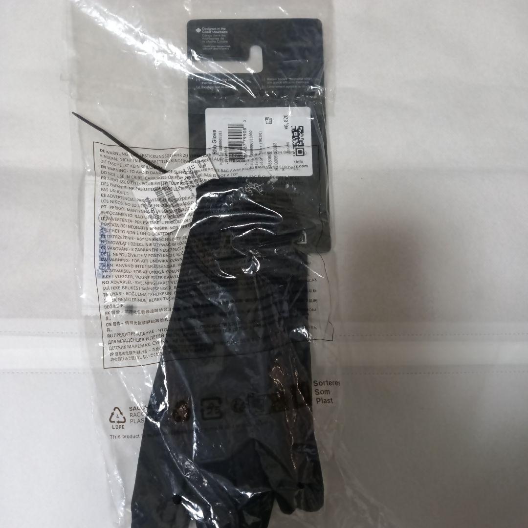 アークテリクス 手袋 メンズ ARC'TERYX RHOGLOVEローグローブ