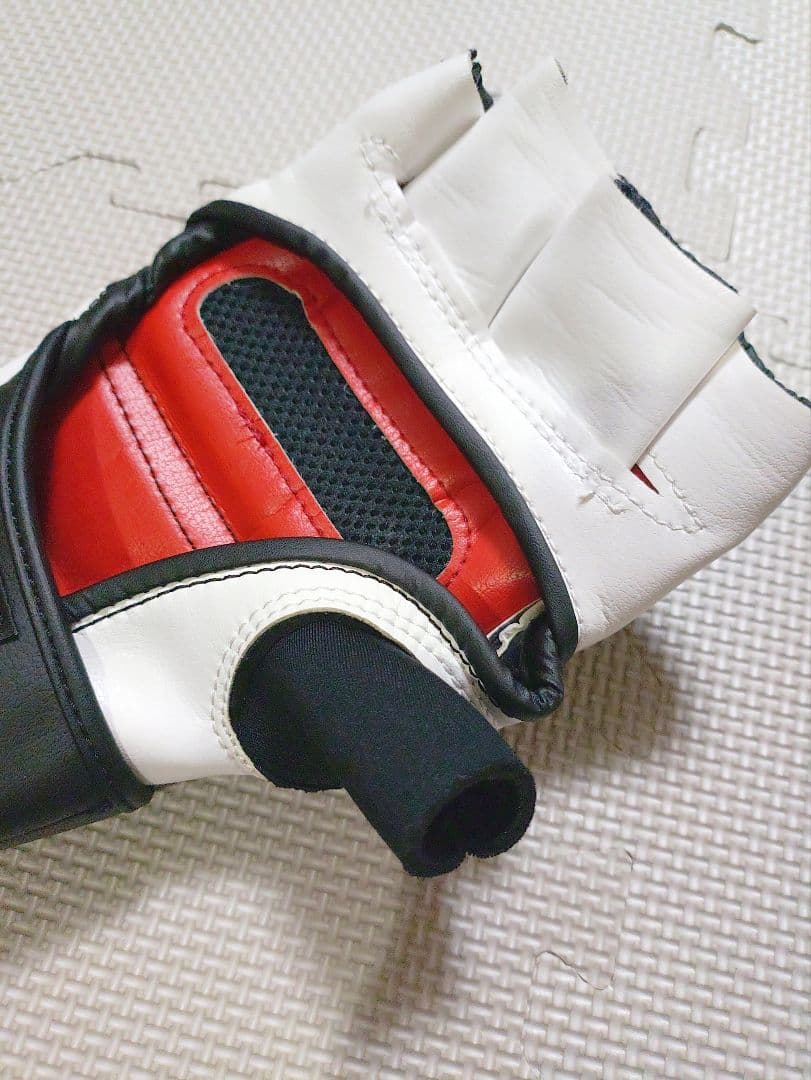 isami イサミ　MMAウォシャブルグローブ　Lサイズ