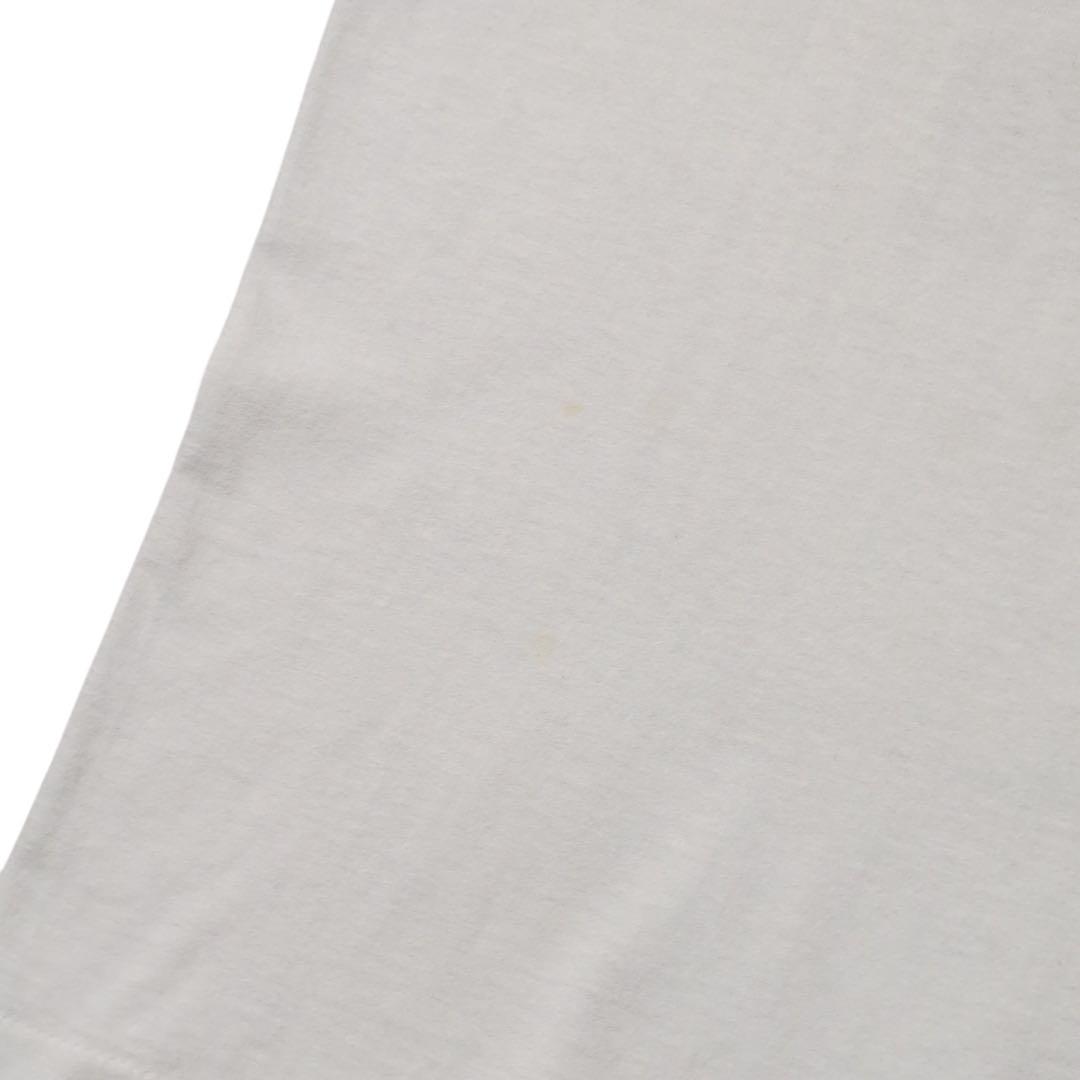 00s USA製 OLD STUSSY big and meaty 恐竜