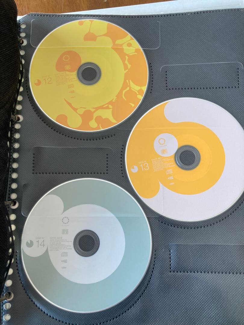 太陽系亞種音 P-MODEL ファンクラブ特典Disc00付
