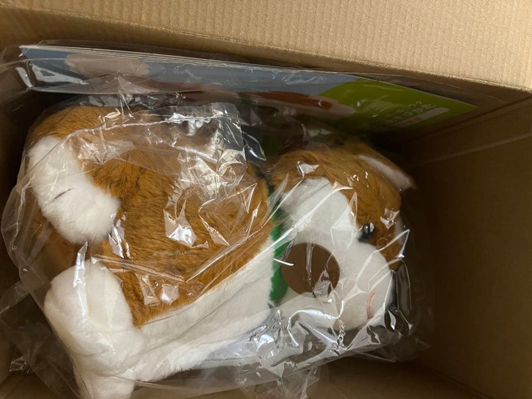 ♪おしゃべりも歌も唄える♪ しばいぬ☆コウタ☆