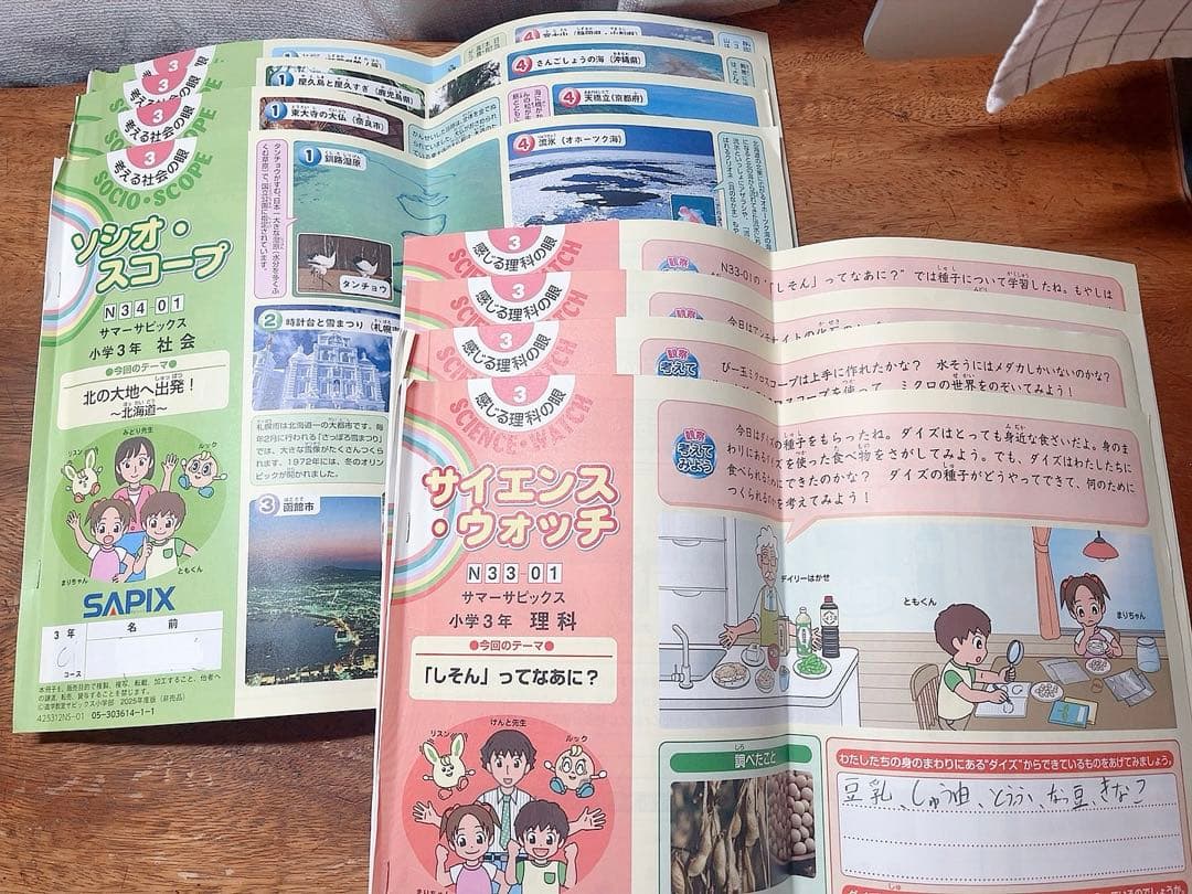 SAPIX小3 夏講習テキスト1セット