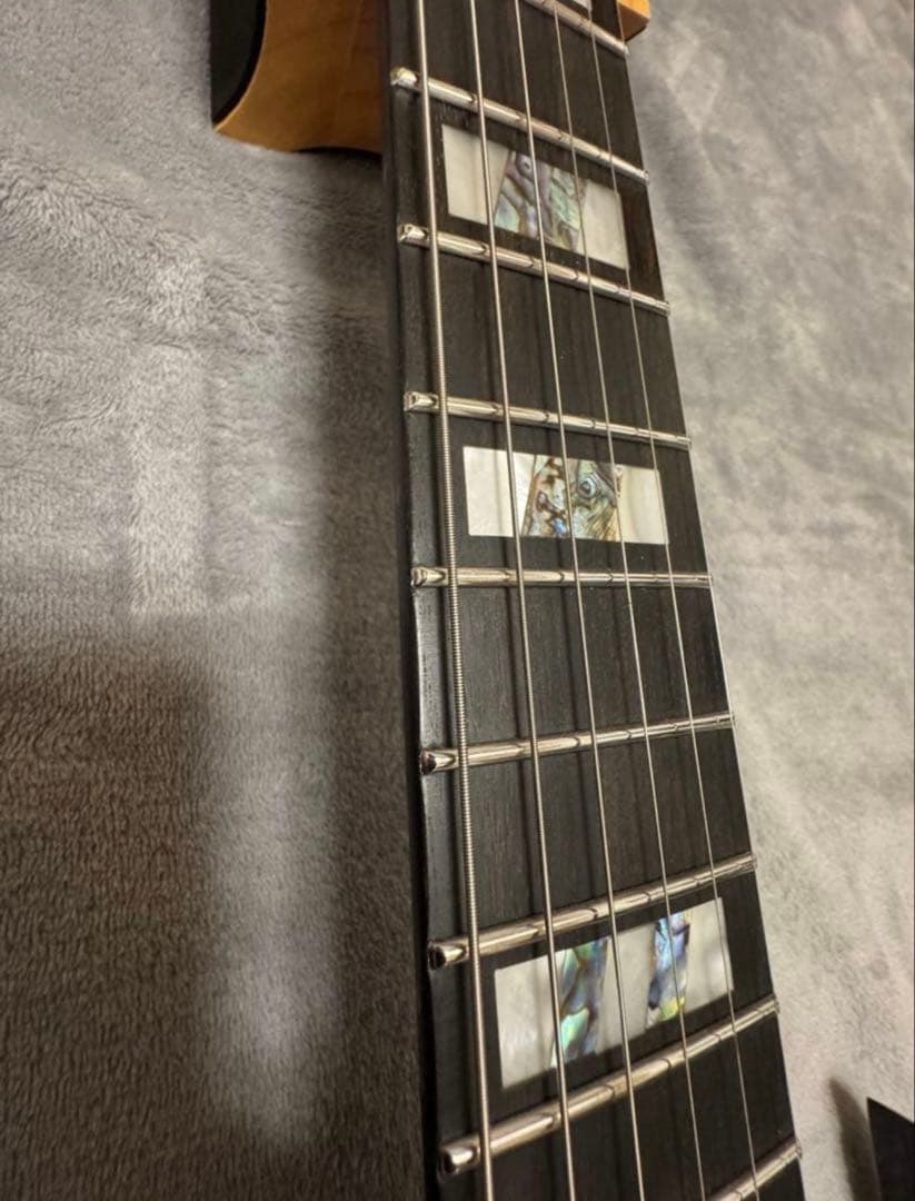 ギター Ibanez RGT1221PB DTF