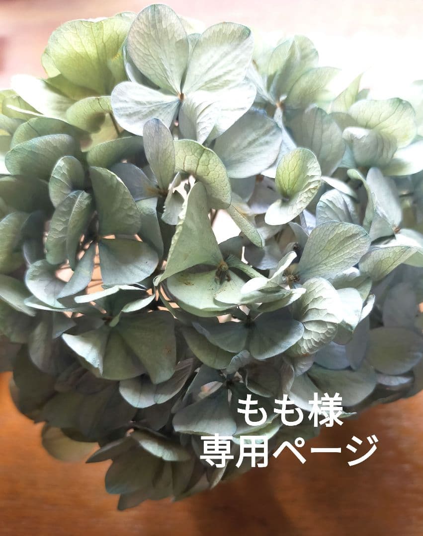 ♡ももページ♡紫陽花ウェディングブーケgreen&white♡