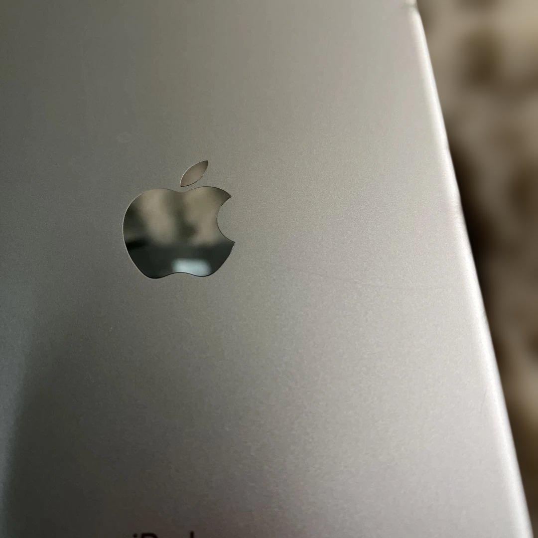R*i様 Apple iPad mini５Wi-Fi + Cellular シル