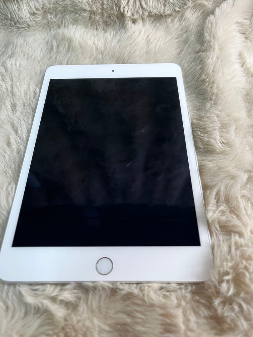 R*i様 Apple iPad mini５Wi-Fi + Cellular シル