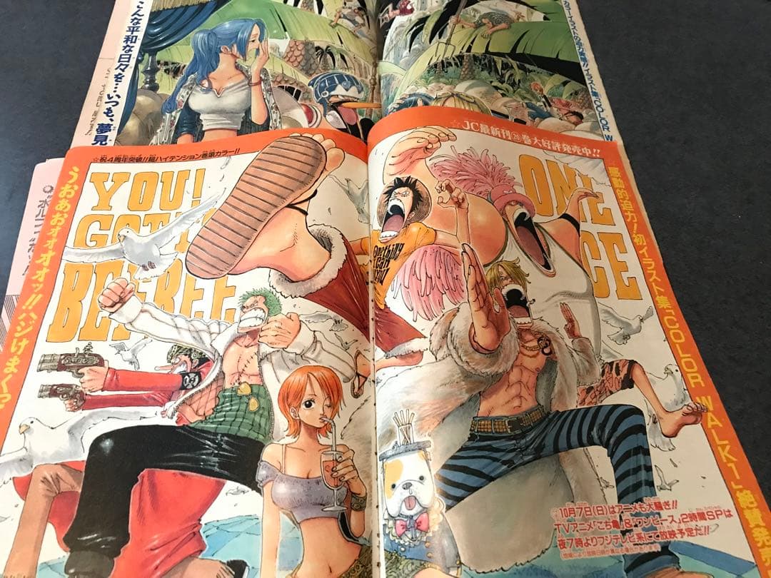 ワンピース　切り抜き　抜有　少年ジャンプ　one piece 尾田栄一郎
