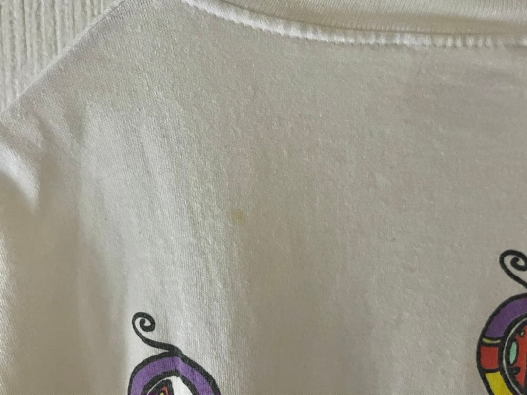 ビンテージ！LED ZEPPELIN SWAN SONG Tシャツ