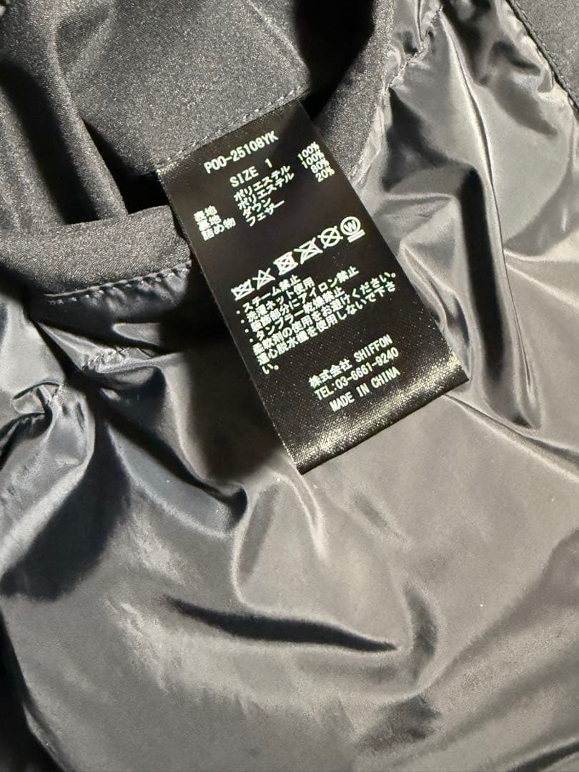 YOKE 別注 Phenix GORETEX LABS DOWNBLOUSON