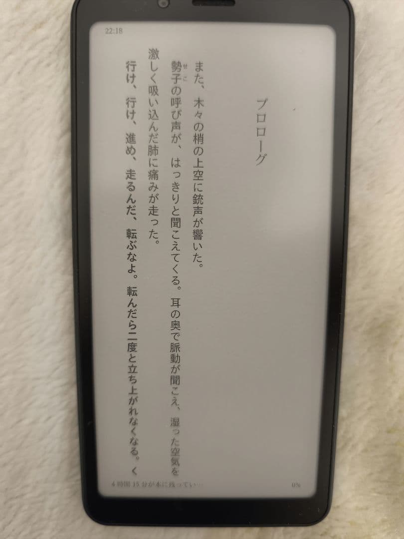 Bigme Hibreak 電子書籍リーダー 本体　ケース付