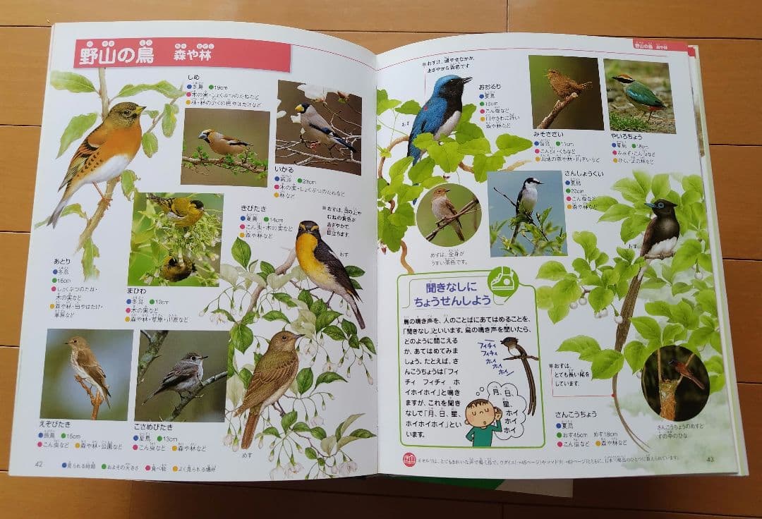 【さらに値下げ】フレーベル館の図鑑　MATURA ５冊セット 美品