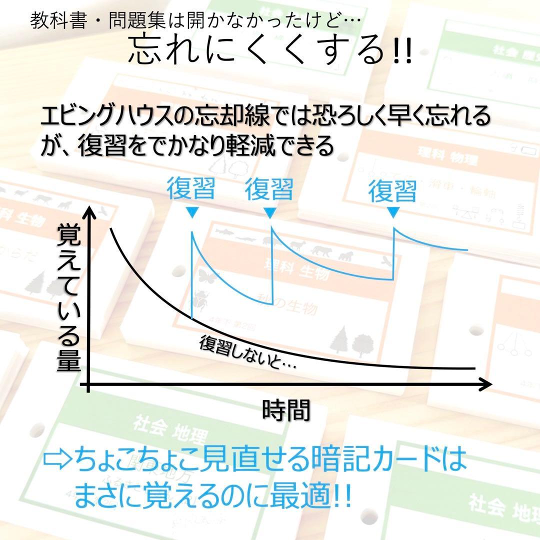 (avocado)【4年下 理社国11-14回　切断穴あけなし】