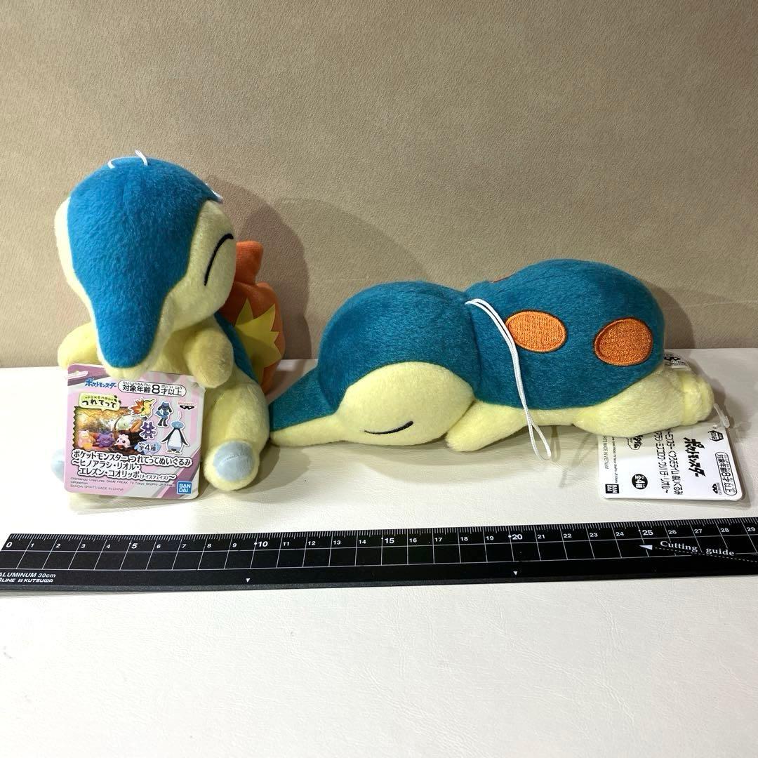 ポケットモンスターのぬいぐるみ１０点まとめ売り
