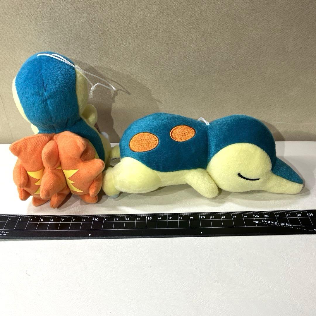 ポケットモンスターのぬいぐるみ１０点まとめ売り