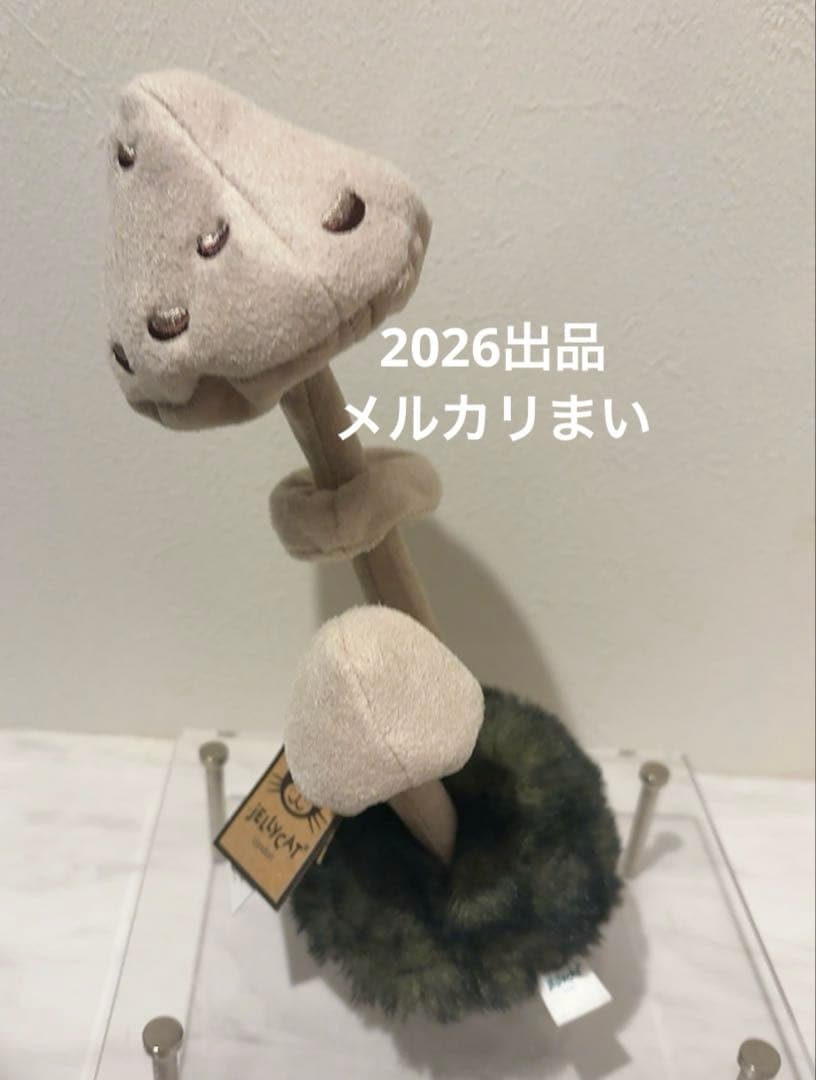  Wild Nature Parasol Mushroom 蕈