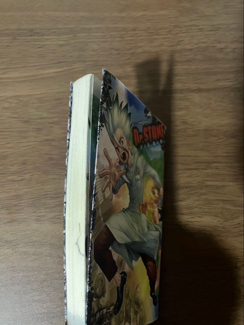 漫画　小説　DVD パンフレットなどまとめ　ドクターストーン、光が死んだ夏