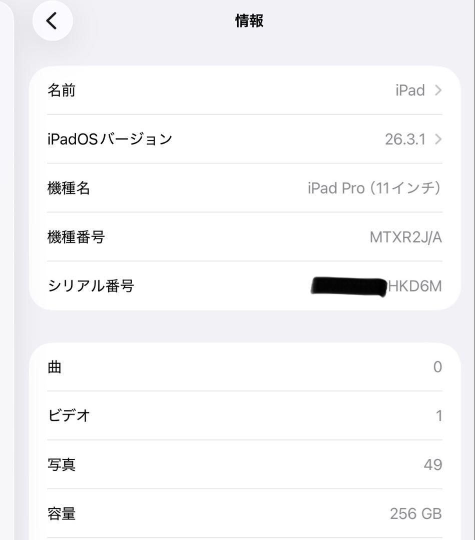 Apple iPad Pro 11インチ 256GB Wi-Fiモデル