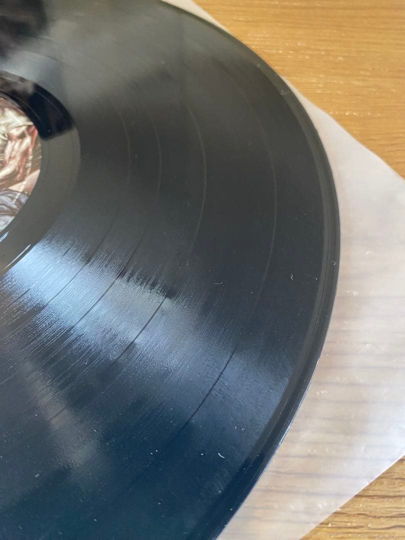 【US盤】The Bloody beetroots Romborama 2LP