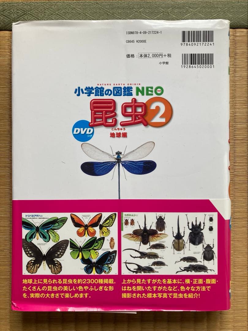小学館の図鑑NEO 全9冊 DVD付き